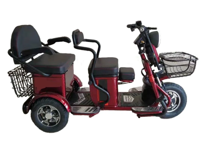 Pushpak 2000 electric trike