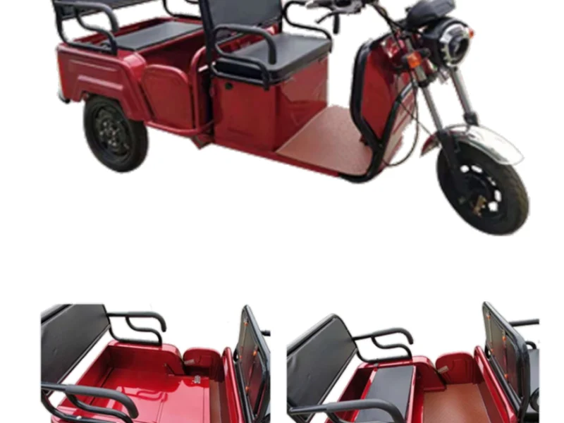 Pushpak 6000 electric trike